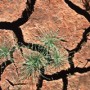 drought