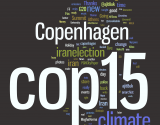 iwasaround-cop15-wordmap