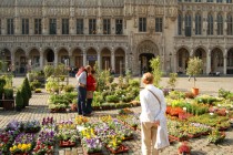Brussels_Spring