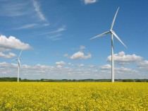 wind-terbines-yellow-flowers_small wind-terbines-yellow-flowers_small