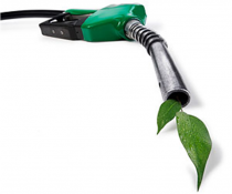 Green Fuelling Green Fuelling