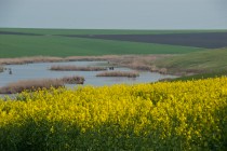 Calarasi Romania Calarasi Romania