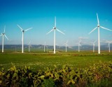 windmill